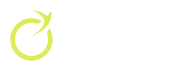Website logo Footer